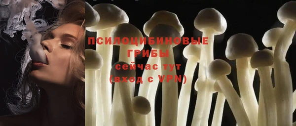 прущий лед Алексеевка